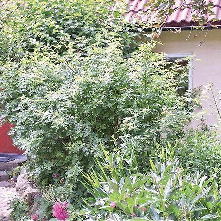 1 Bedroom Beautiful Home In Tomelilla Bagian luar foto